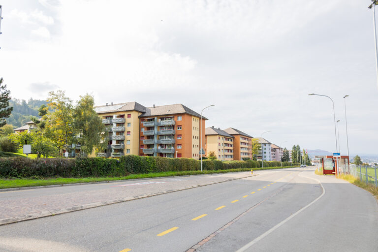 1 ABZ-Siedlung Allmend Horgen Wohnbauten